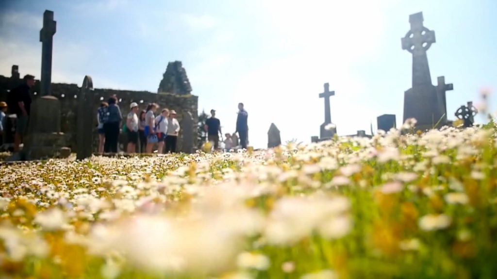 A group of people stands among headstones in an old cemetery, with blooming wildflowers in the foreground under a bright sky.