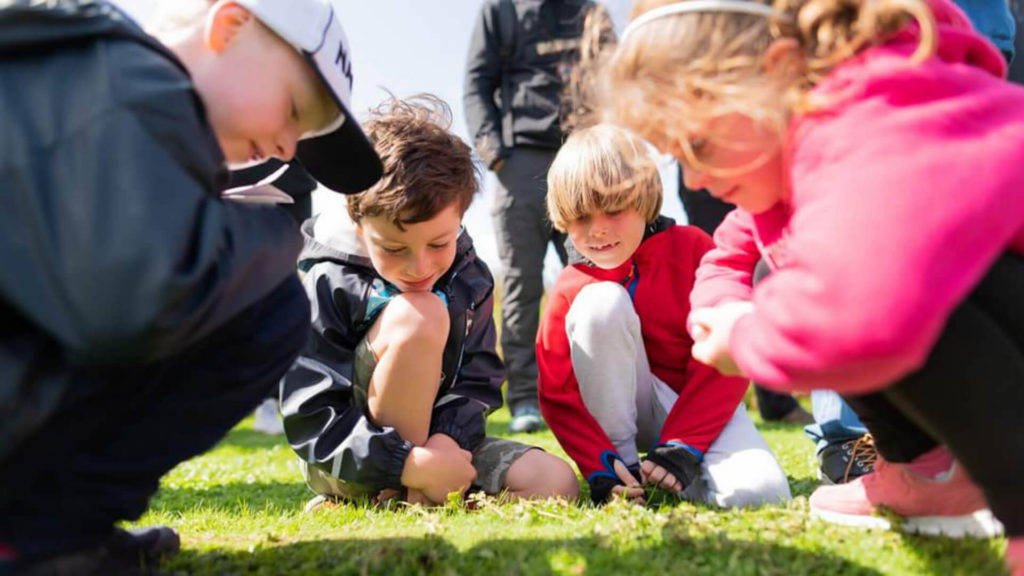 Four children crouch together on grass, closely examining something on the ground in bright daylight.