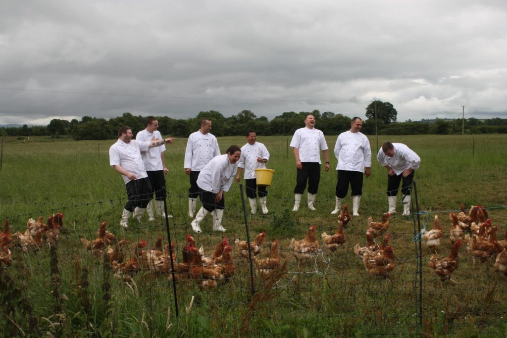 A group of chefs in white jackets and black pants stand in a grassy field feeding a flock of chickens behind a wire fence under a cloudy sky.
