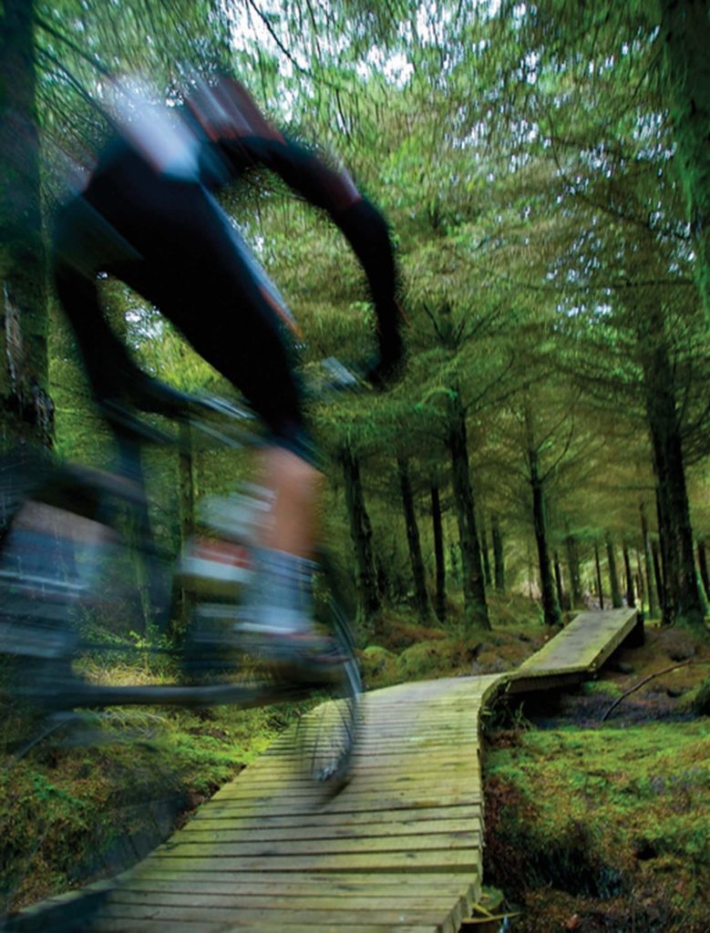 A cyclist rides quickly along a narrow wooden path through a dense forest, with motion blur emphasizing the speed.