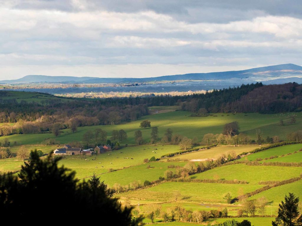 Rolling green countryside with scattered trees, fields divided by hedgerows, a small cluster of farm buildings, and distant hills under a partly cloudy sky.
