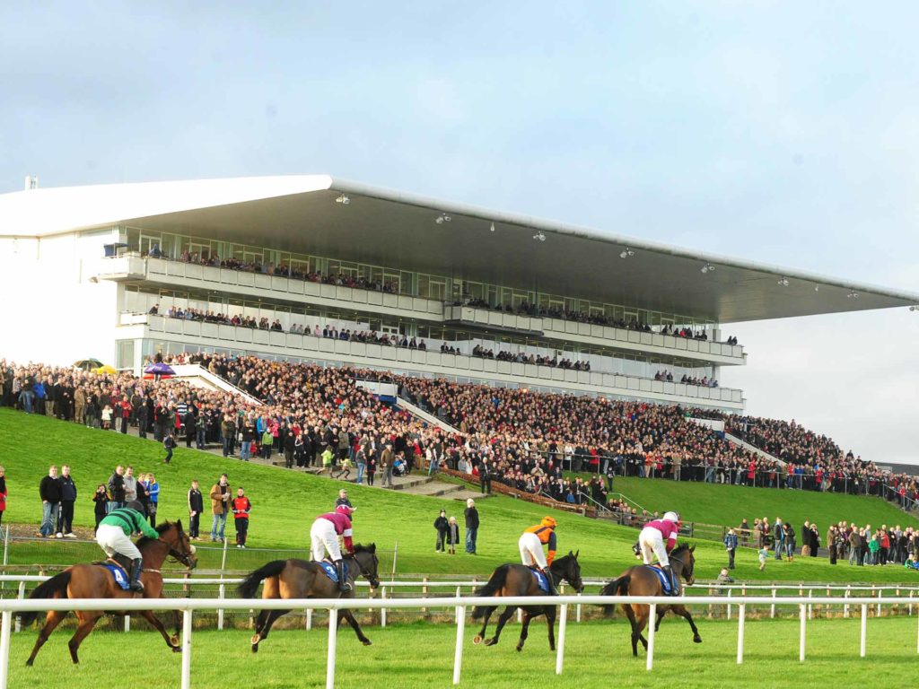 Several jockeys ride horses in a race on a grassy track, with a large crowd of spectators watching from a grandstand in the background.