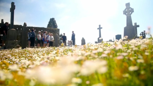 A group of people stands near old stone crosses in a graveyard, with wildflowers in the foreground and bright sunlight in the background.