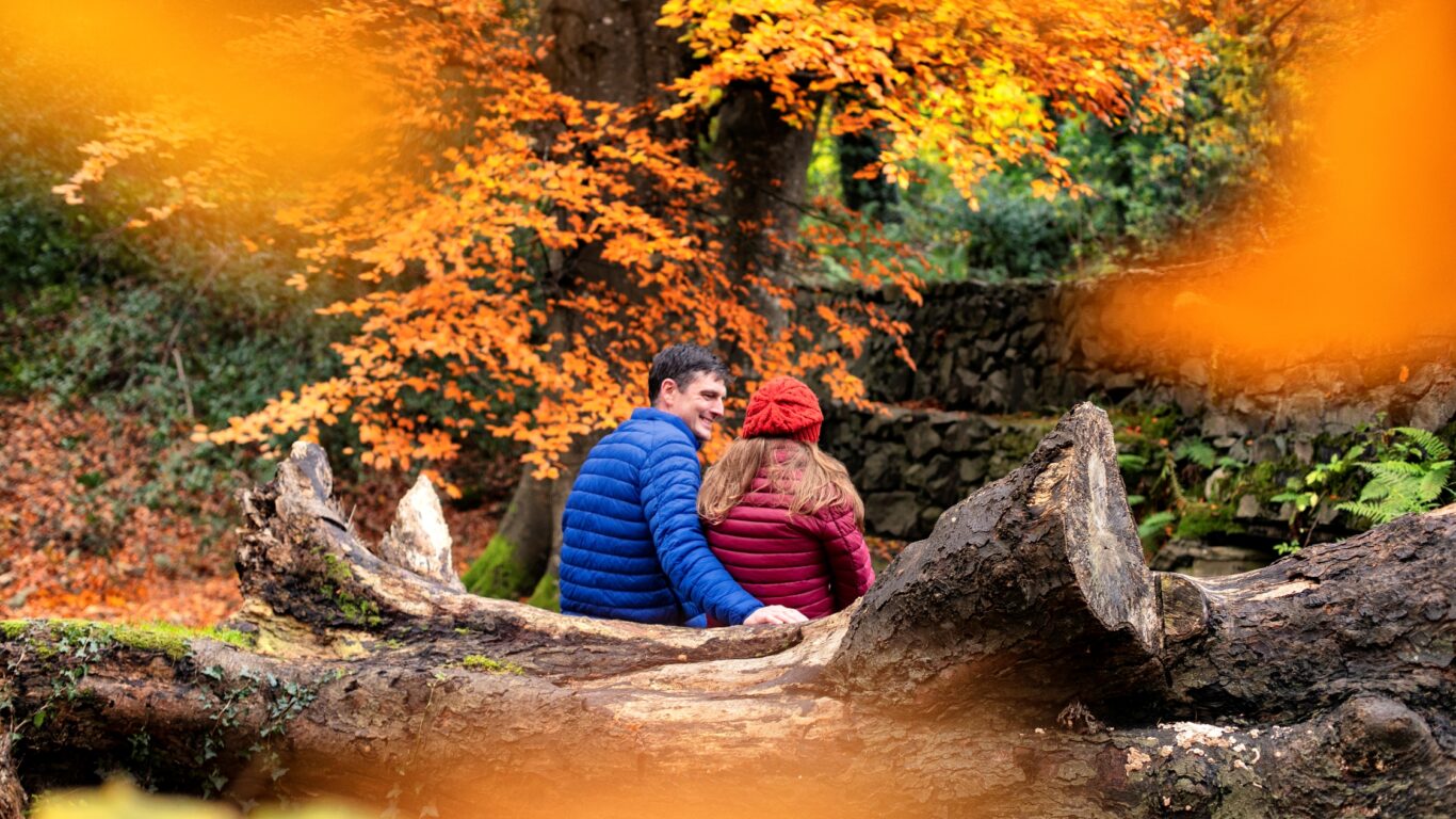 Two people in colorful jackets sit on a fallen tree trunk in a forest with bright autumn foliage, seen from behind—capturing the cozy spirit of Autumn Hotel Breaks.