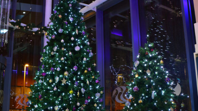 Two decorated Christmas trees with lights stand by large windows at night, surrounded by wrapped presents. Garland and ornaments decorate the interior space.