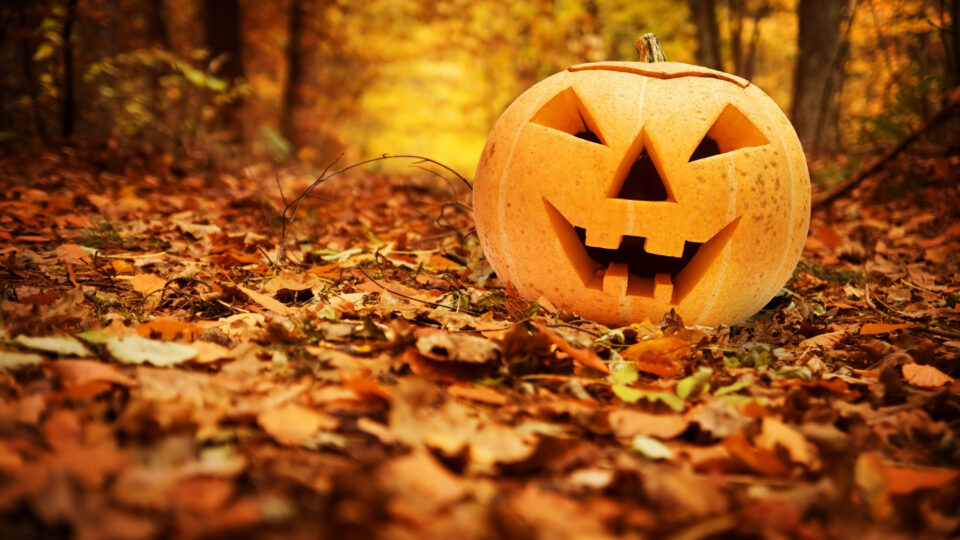 A carved jack-o'-lantern sits on the ground among autumn leaves in a forest, evoking the charm of Autumn Hotel Breaks with trees and orange foliage in the background.
