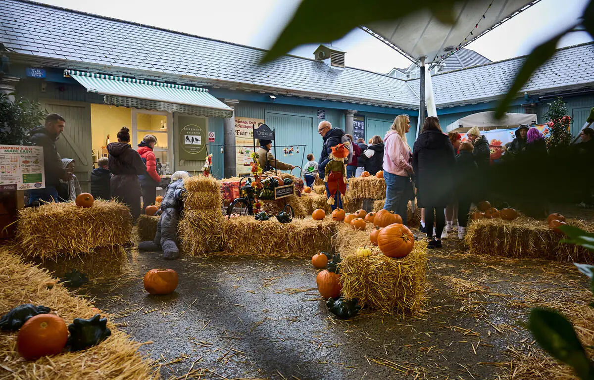 People gather in an outdoor area decorated with pumpkins and hay bales for an autumn or Halloween event, creating a festive atmosphere reminiscent of cozy Autumn Hotel Breaks.