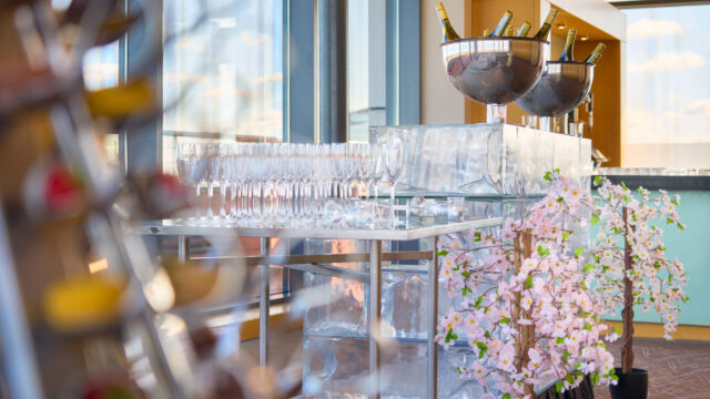 A table with empty champagne glasses, two ice buckets with champagne bottles, and pink artificial cherry blossom decorations in a bright room with large windows.