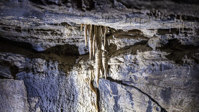 Stalactites hang from the ceiling of a rocky cave, illuminated by artificial light highlighting the textures and formations.
