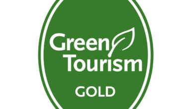 Green oval badge with white border displaying the text 