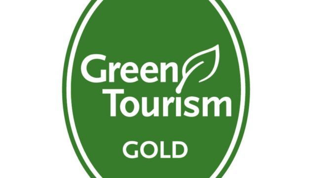 Green oval badge with white border displaying the text