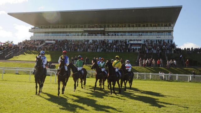 Several jockeys on horses line up on a grassy racetrack in front of a large grandstand filled with spectators.
