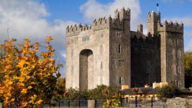 A large stone castle with crenellated towers stands behind trees with autumn foliage under a partly cloudy sky.