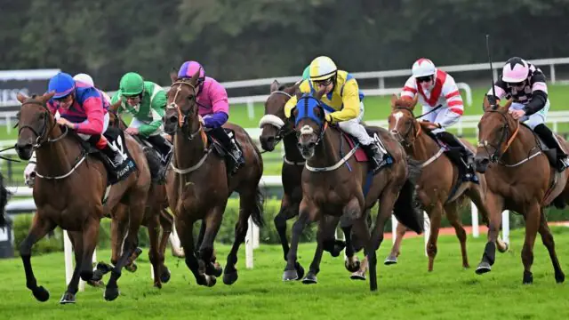 A group of jockeys riding racehorses compete on a grassy track during a horse race, with trees and fencing visible in the background.