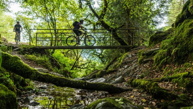 Two cyclists cross a small metal bridge in a lush, green forest with mossy rocks and a shallow stream below.